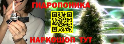 амф Тверь