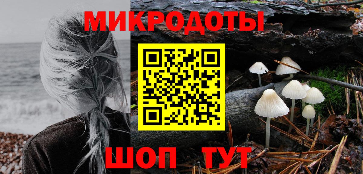 Псилоцибиновые грибы Psilocybe Новый Уренгой