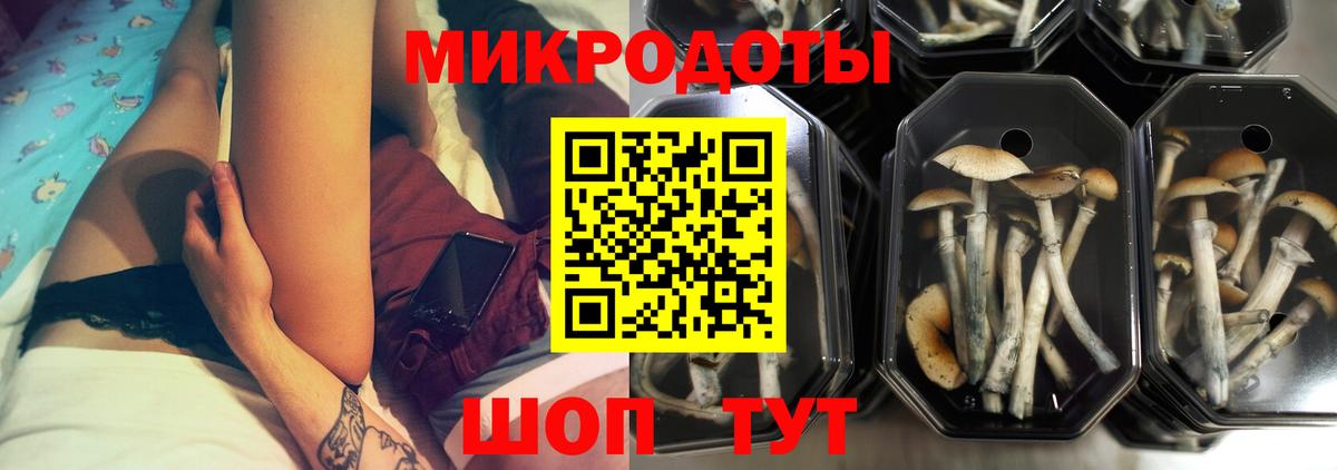 Новый Уренгой  Псилоцибиновые грибы MAGIC MUSHROOMS  Вход с VPN  Псилоцибиновые грибы ЛСД 